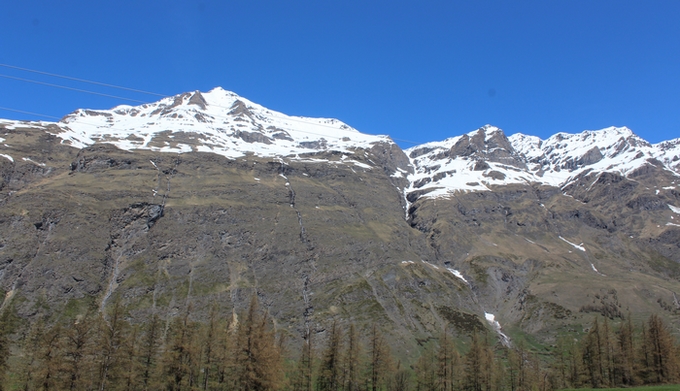 IMG_4056.JPG