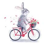 mon lapin.jpg