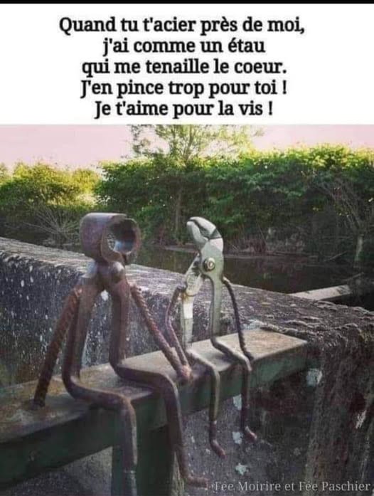 pince..........jpg