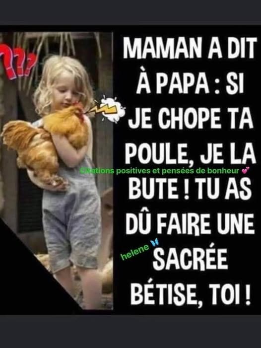 poule.jpg
