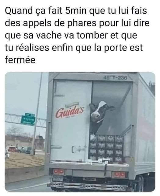 phares.jpg