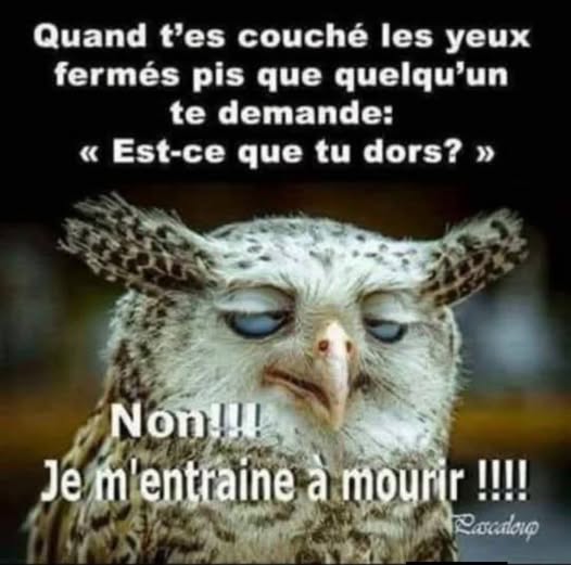 couché.jpg
