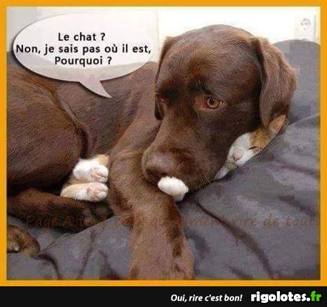 chat.jpg