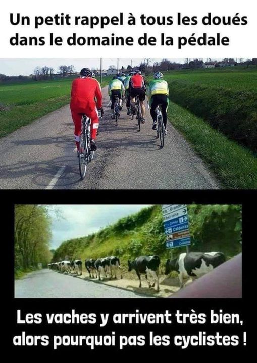 vélo en ligne.jpg