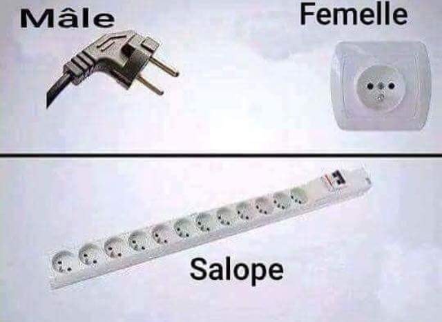 male femelle......jpg