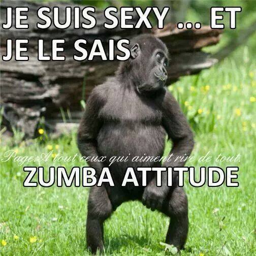 zembla loll.jpg