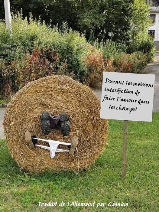 moisson.jpg