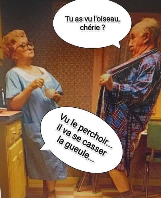 oiseau.jpg