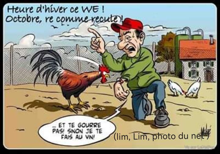 coq.jpg