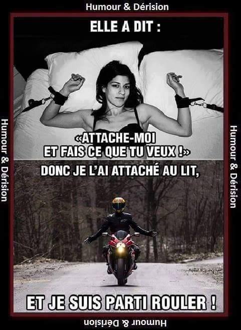 moto.jpg