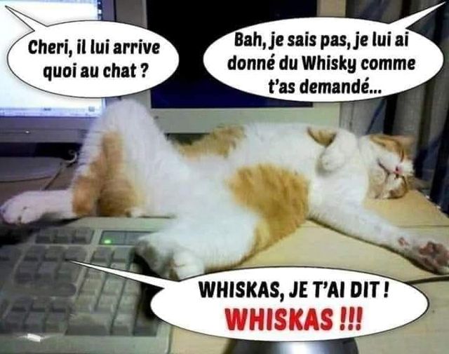 whisky.jpg
