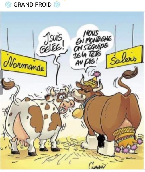 on s'équipe....jpg