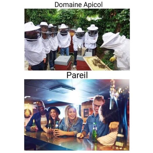 apicol.jpg