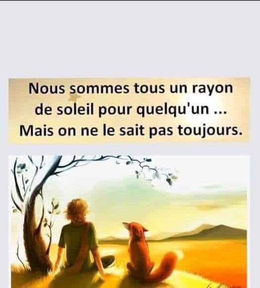 rayon de soleil.jpg