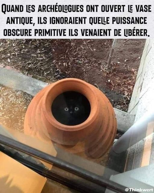 archeologue.jpg