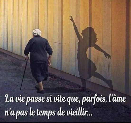 la vie.jpg