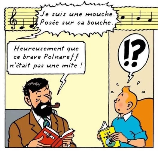 mouche.jpg