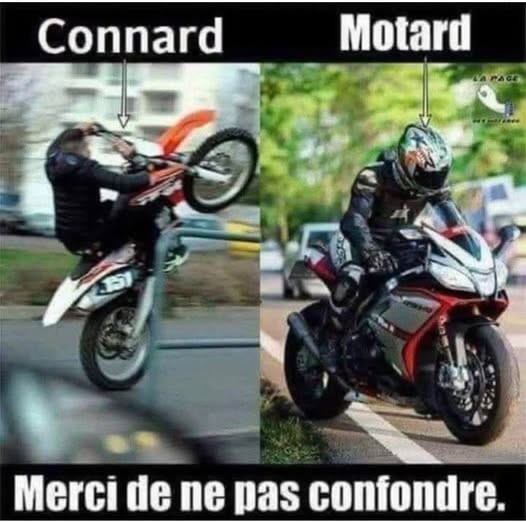 moto.jpg