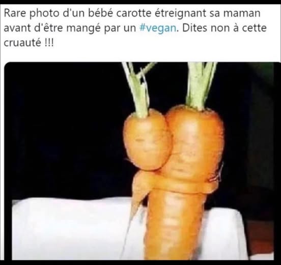 végan...jpg