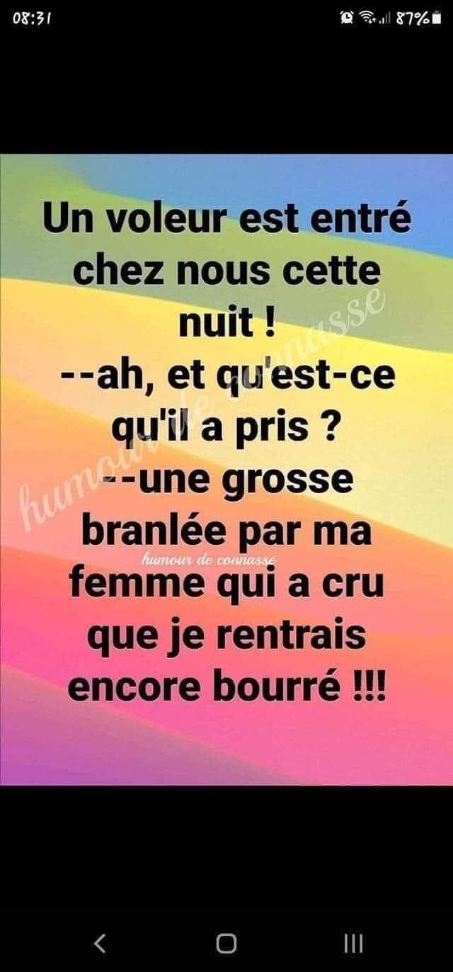 voleur.jpg