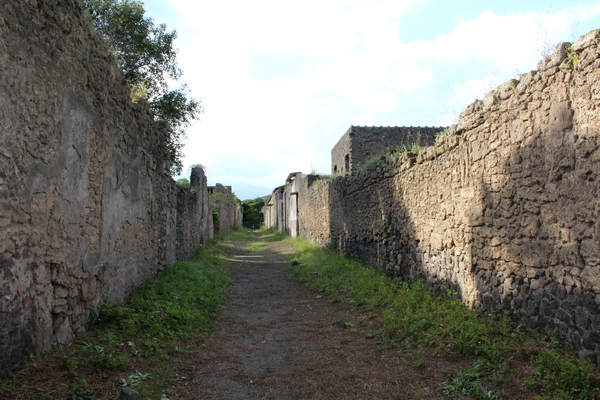 IMG_3950.JPG
